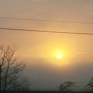 Meet your Posher, Joanne